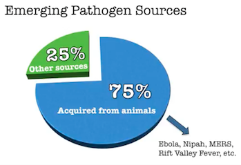 Pathogen source pie chart